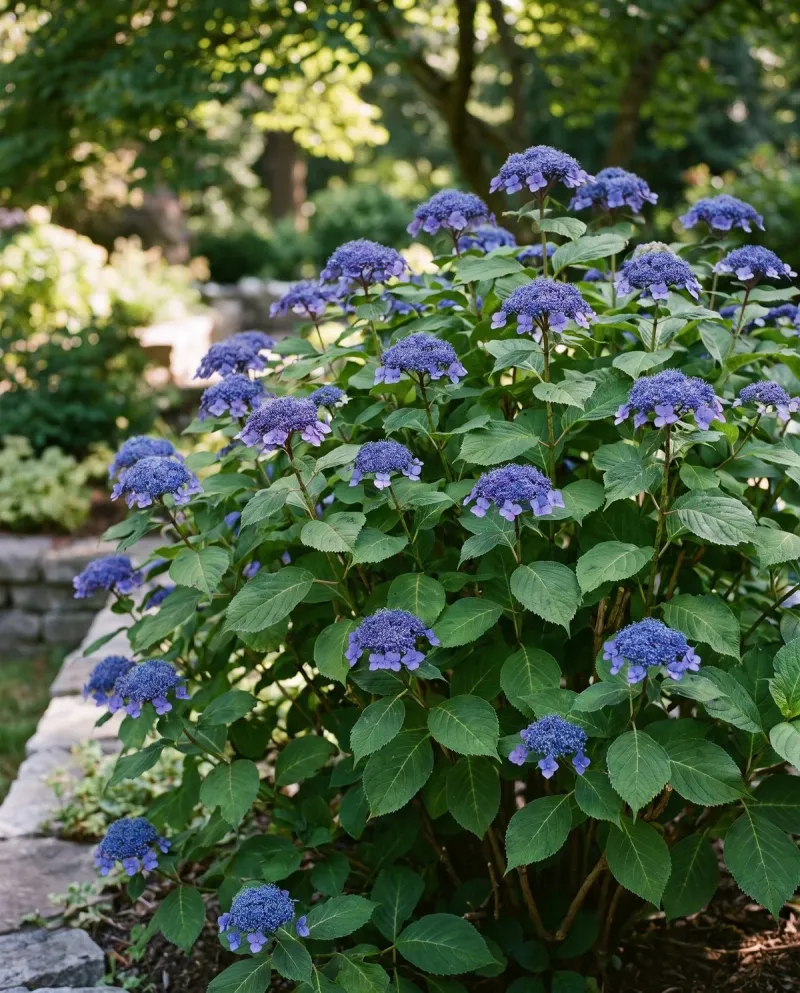 Support the plant with steady moisture and suitable light
