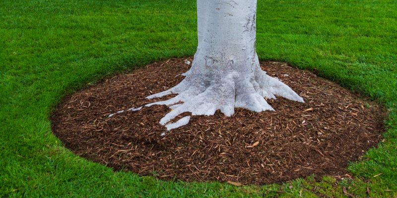 Support tree resilience without trying to fertilize webworms away
