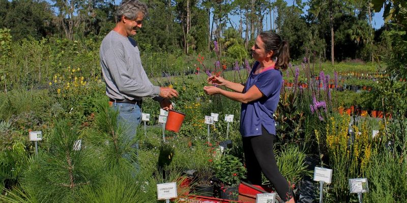 Sweet Bay Nursery