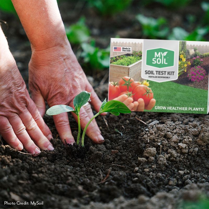 Test soil before adding nutrients or amendments