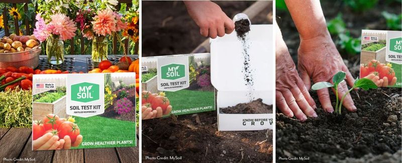 Test the Soil Before Adding Phosphorus