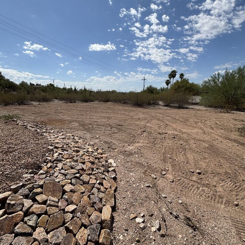Test the site for sun, drainage, and regional exposure