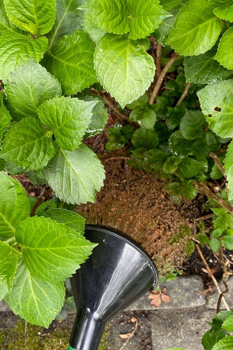 Test the soil before buying another fertilizer