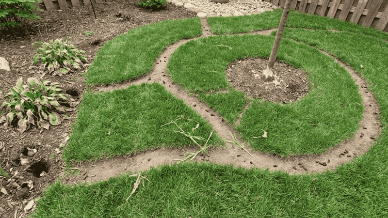 The Damage Pattern Points Toward Voles
