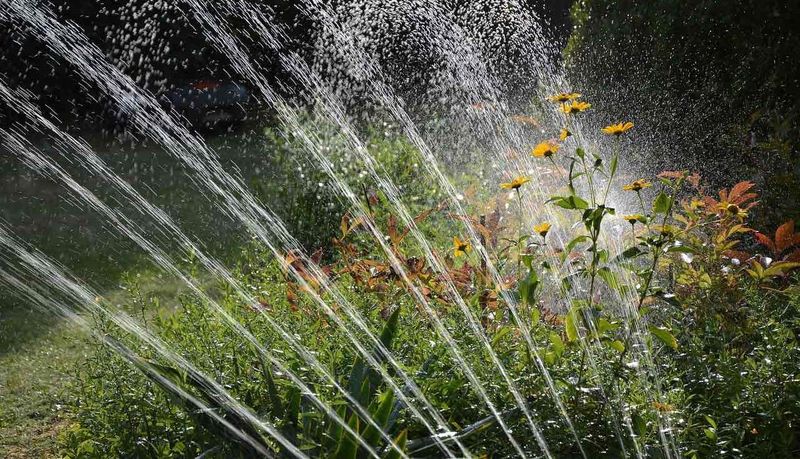 The Evidence Does Not Support the Lawn-Burning Water-Drop Myth The Evidence Does Not Support the Lawn-Burning Water-Drop Myth