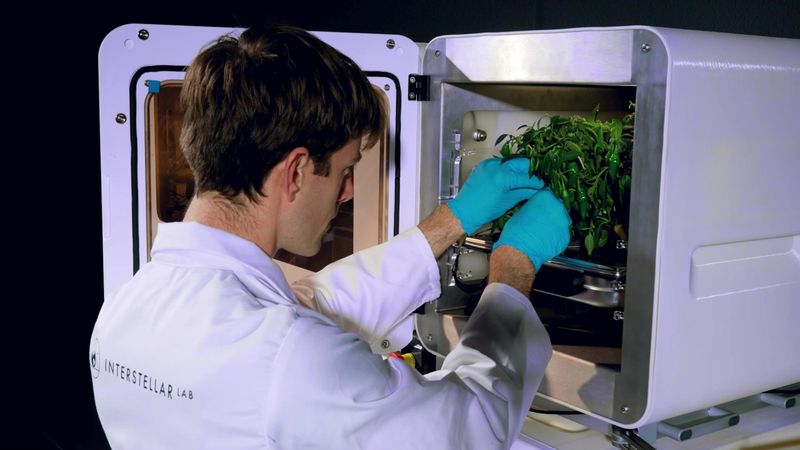 The Plant Study Offers a Clue, Not a Household Promise