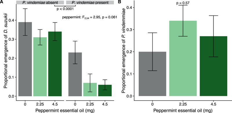 The Research Tested Peppermint Oil, Not a Living Plant