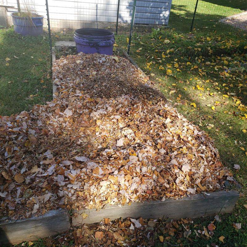 The Tidier the Bed, the Fewer Foraging Clues It Offers