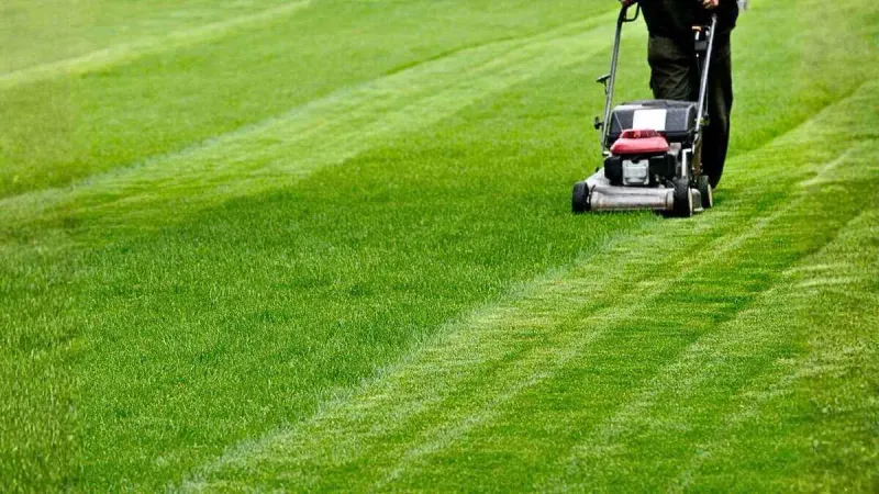 The grass still sets the mower height