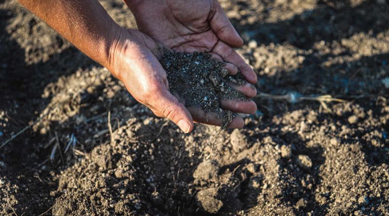 The likely soil effect is small, slow, and uncertain