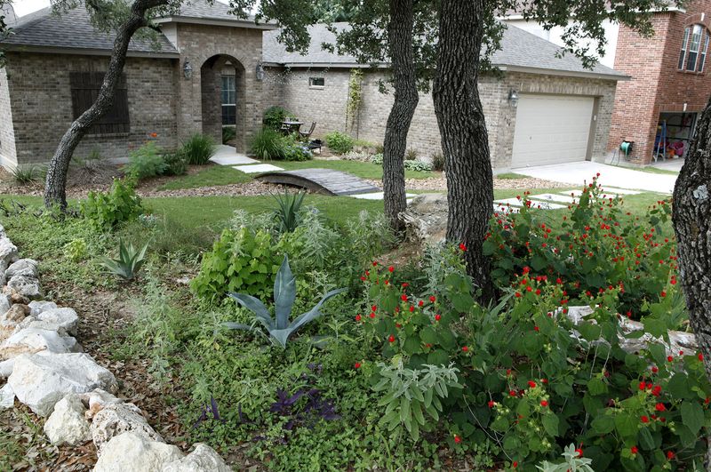 The qualifying swap turns irrigated turf into a planting bed The qualifying swap turns irrigated turf into a planting bed