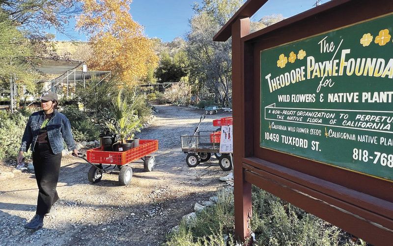 Theodore Payne Foundation (Sun Valley)