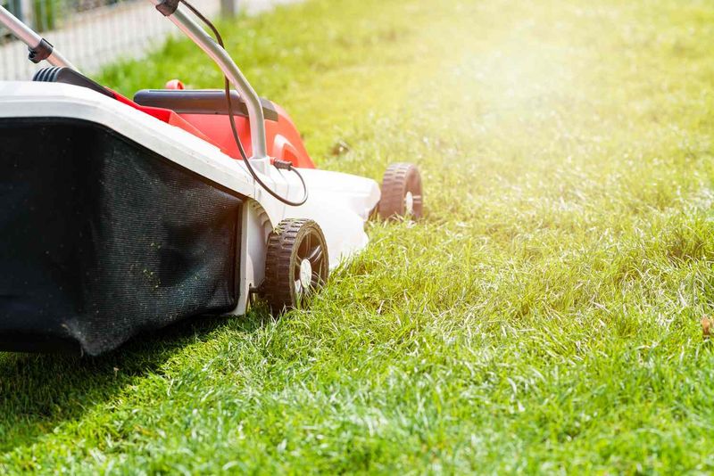 Timing reduces stress, but it does not explain every lawn problem