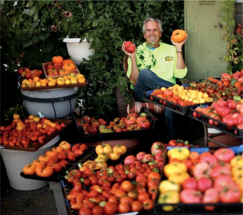 Tomatoes (Thrive)