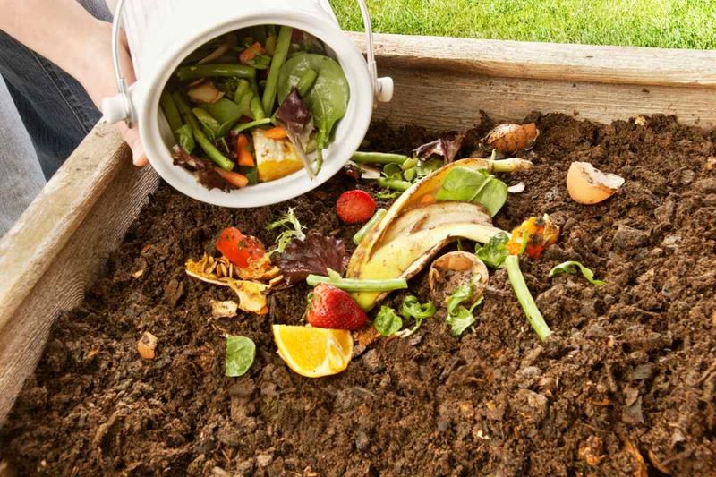 Toss It Into the Compost Pile