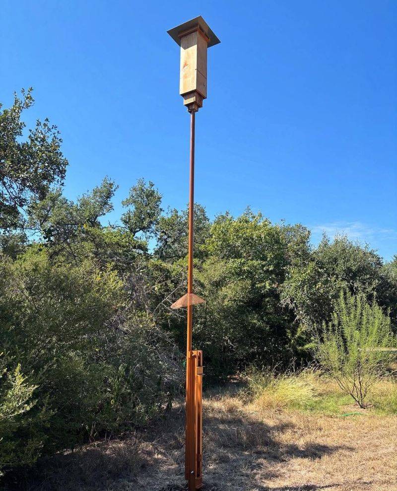 Treat a bat house as a wildlife investment, not a summer promise Treat a bat house as a wildlife investment, not a summer promise