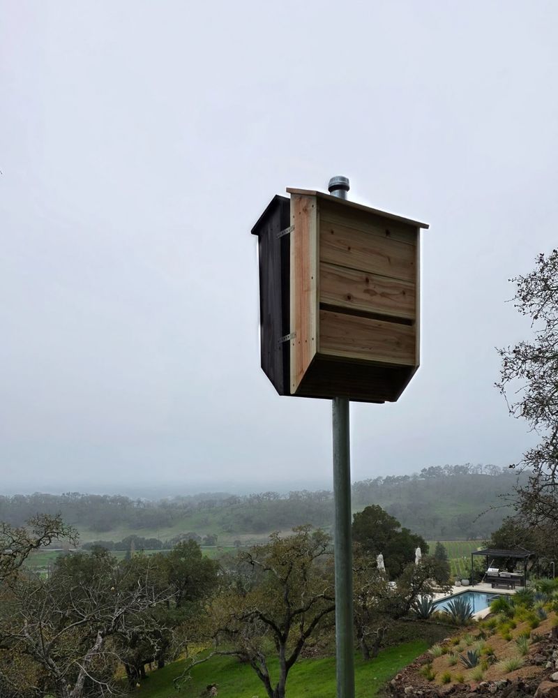 Treat a bat house as habitat support, not a pest-control machine