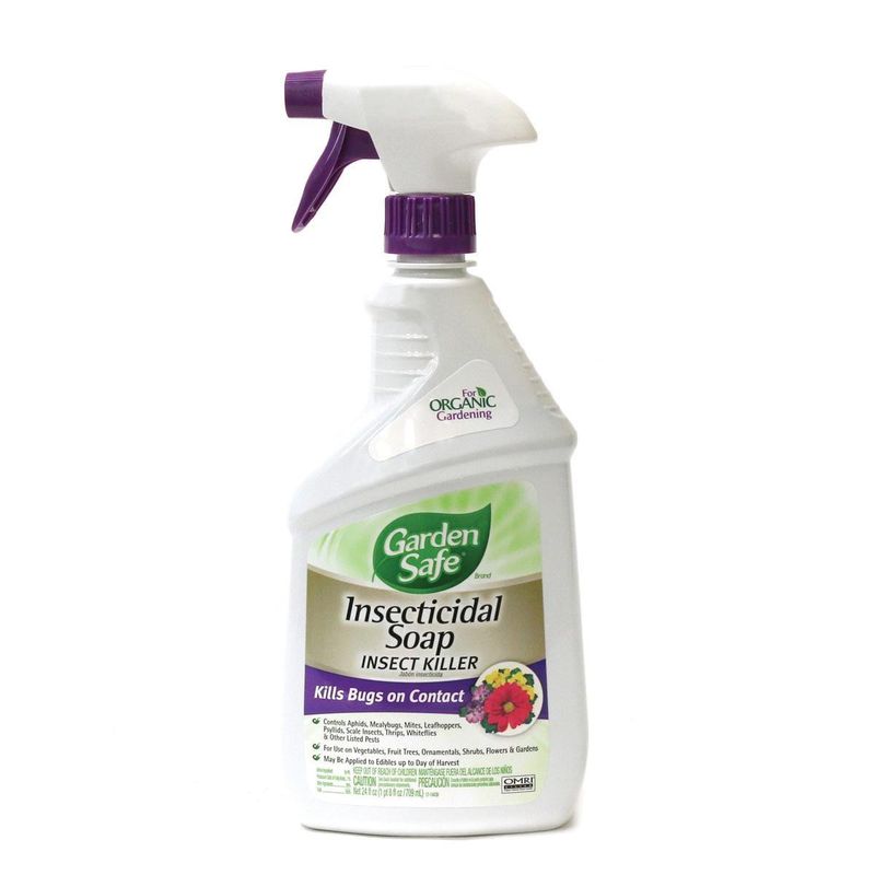 Treat a damaging infestation precisely when needed