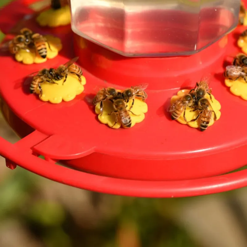 Treat bees and wasps as a separate problem