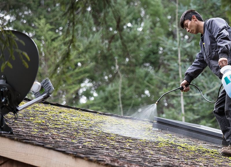 Treat compatible asphalt shingles gently—or hire a professional
