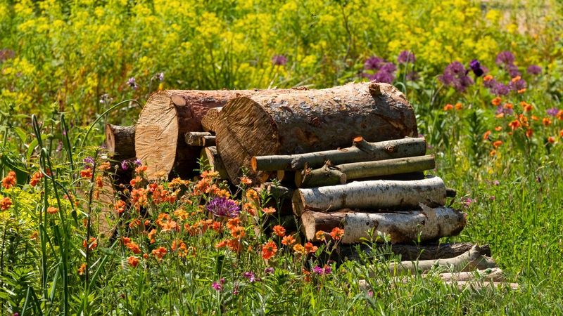 Treat leaf litter and logs as a habitat tradeoff