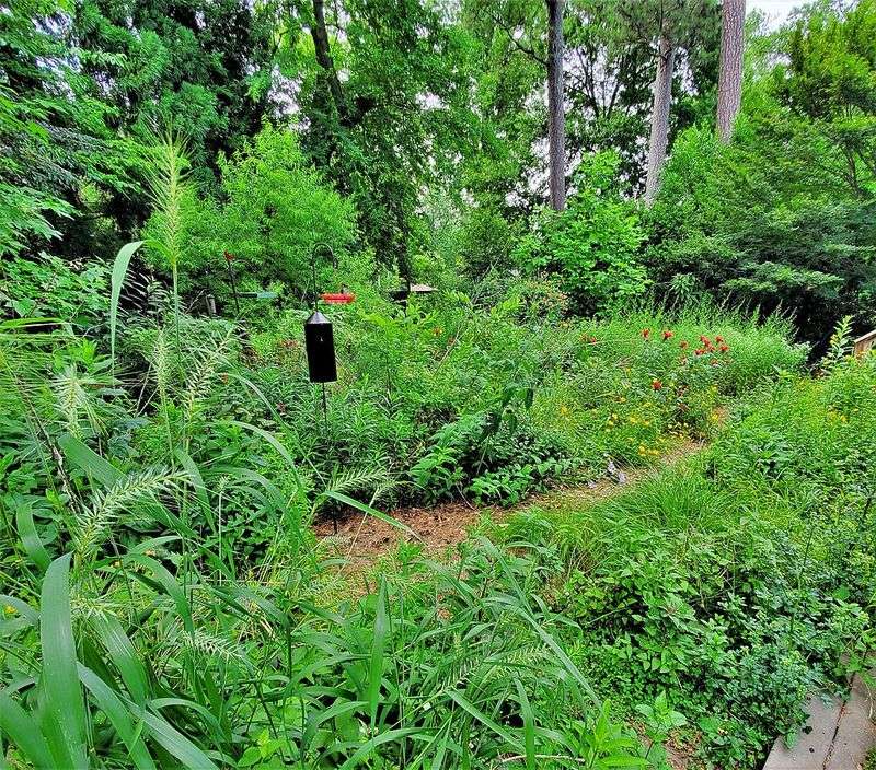Treat one corner as a refuge, not a replacement for wild habitat