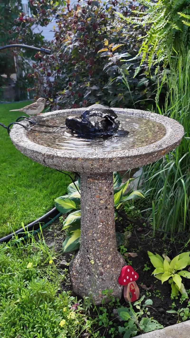 Treat water and supplemental food as optional tools