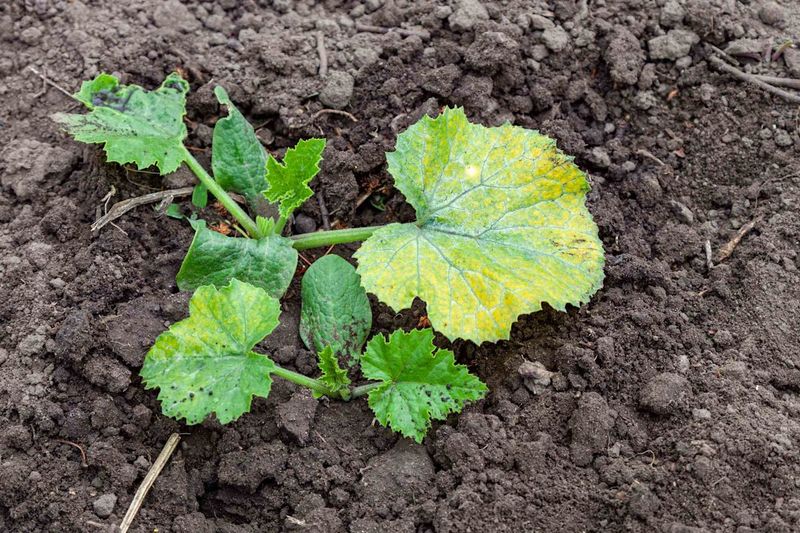 Treat wet soil as a warning sign