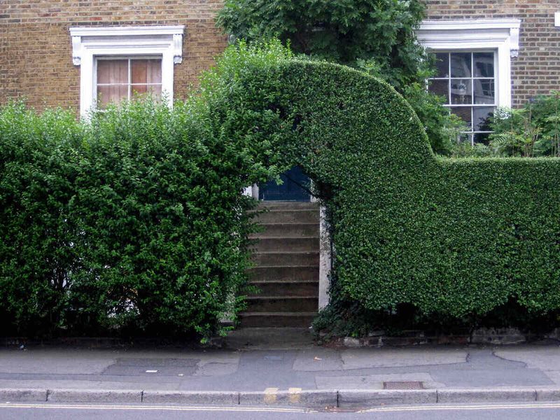 Trim Routes and Seal Building Gaps