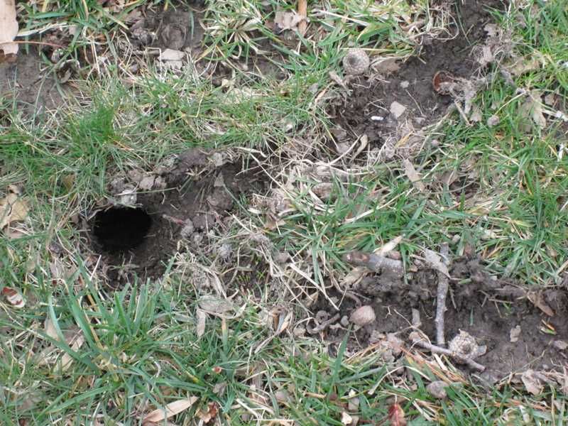 Tunnels Are a Clue, Not a Verdict