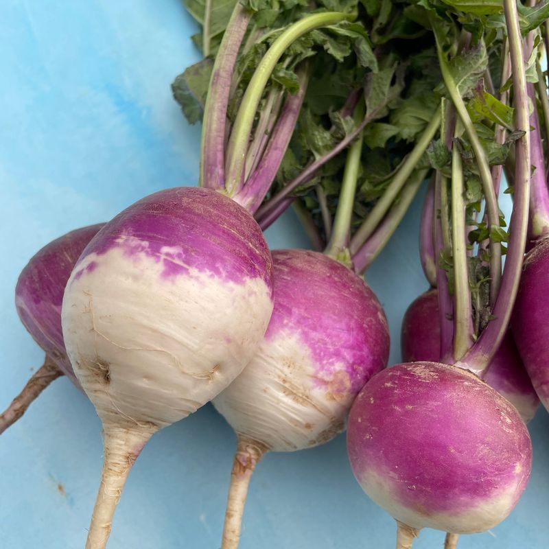 Turnips