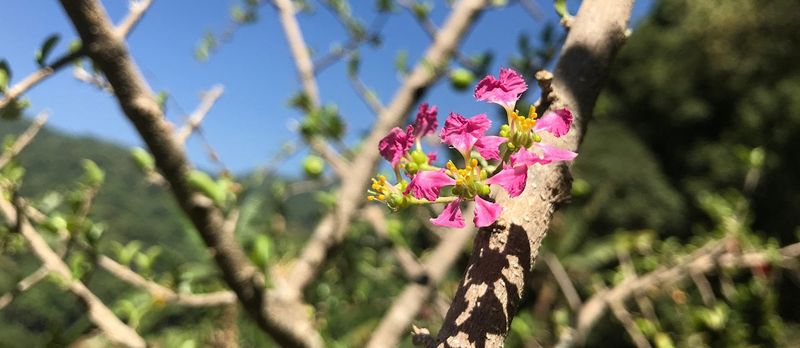 Understand what pruning can—and cannot—change Understand what pruning can—and cannot—change
