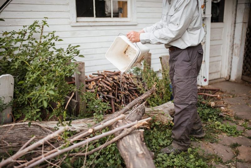 Use CDC mosquito control alongside wildlife support Use CDC mosquito control alongside wildlife support