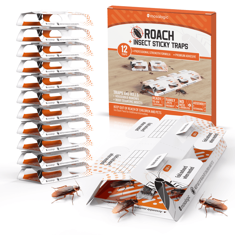 Use Cockroach IPM to Protect the Indoor Boundary Use Cockroach IPM to Protect the Indoor Boundary