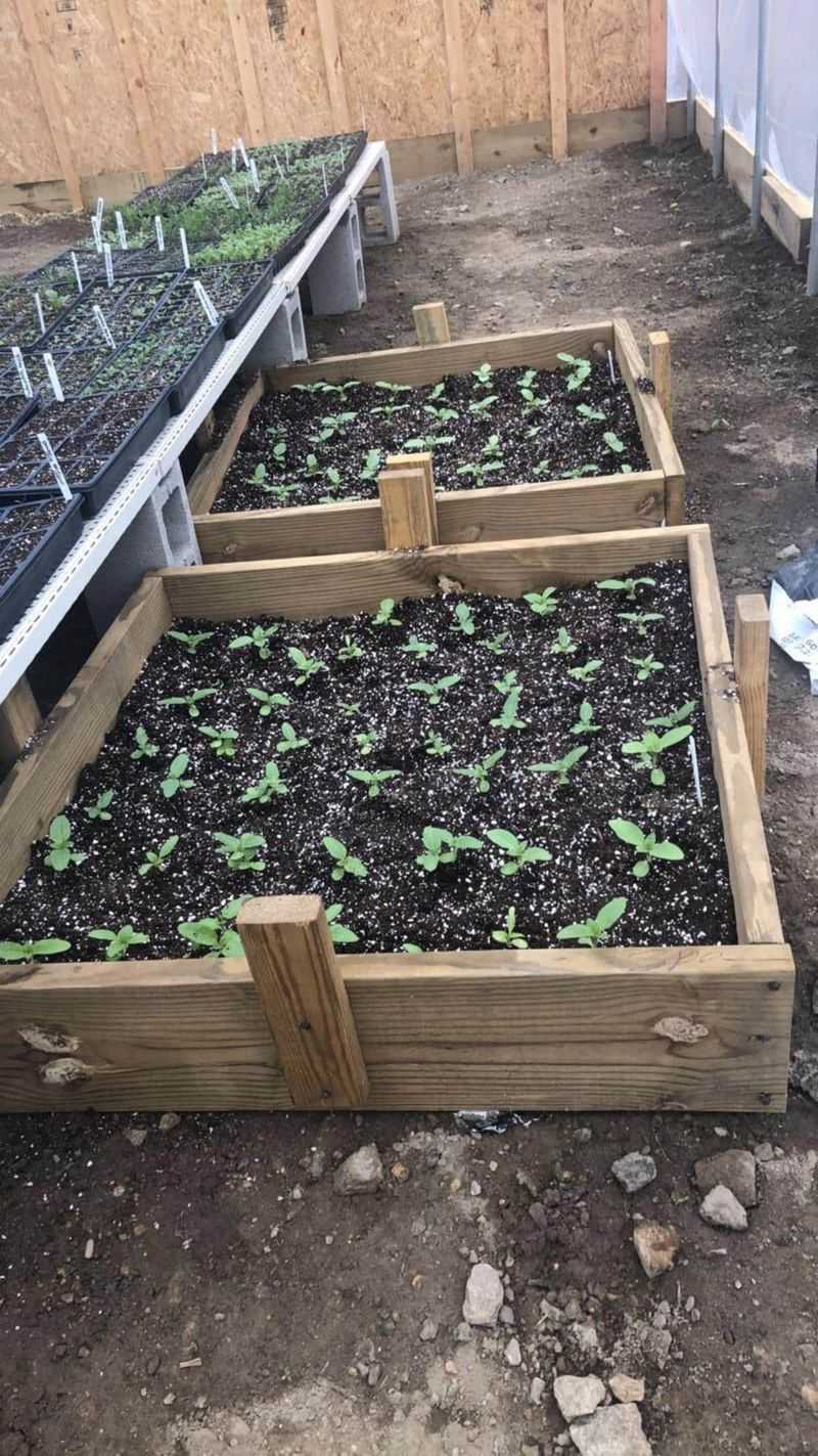 Use It to Fill Raised Beds