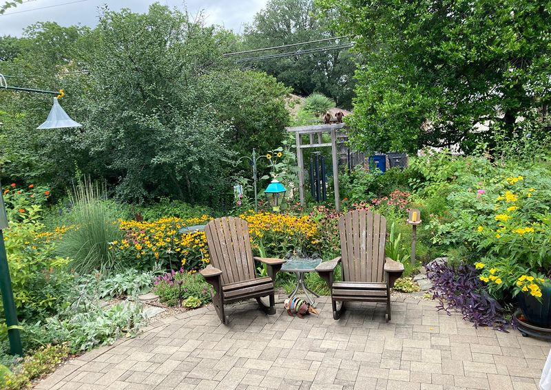 Use Native Plants for Texas Landscaping, Not Rat Control