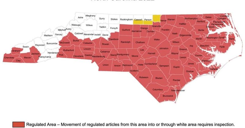 Use North Carolina’s quarantine information correctly Use North Carolina’s quarantine information correctly