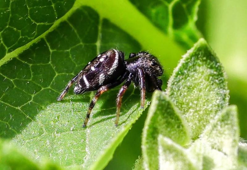 Use Observation Instead of a Garden Guarantee Use Observation Instead of a Garden Guarantee