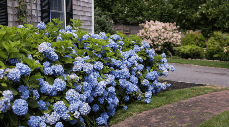 Use a conditions-first planting rule