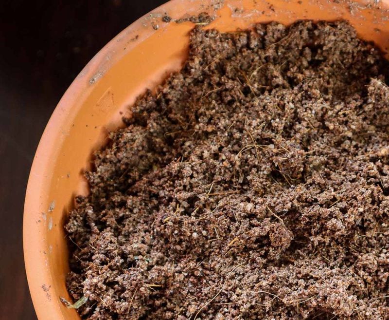 Use a medium that drains while it stays moist