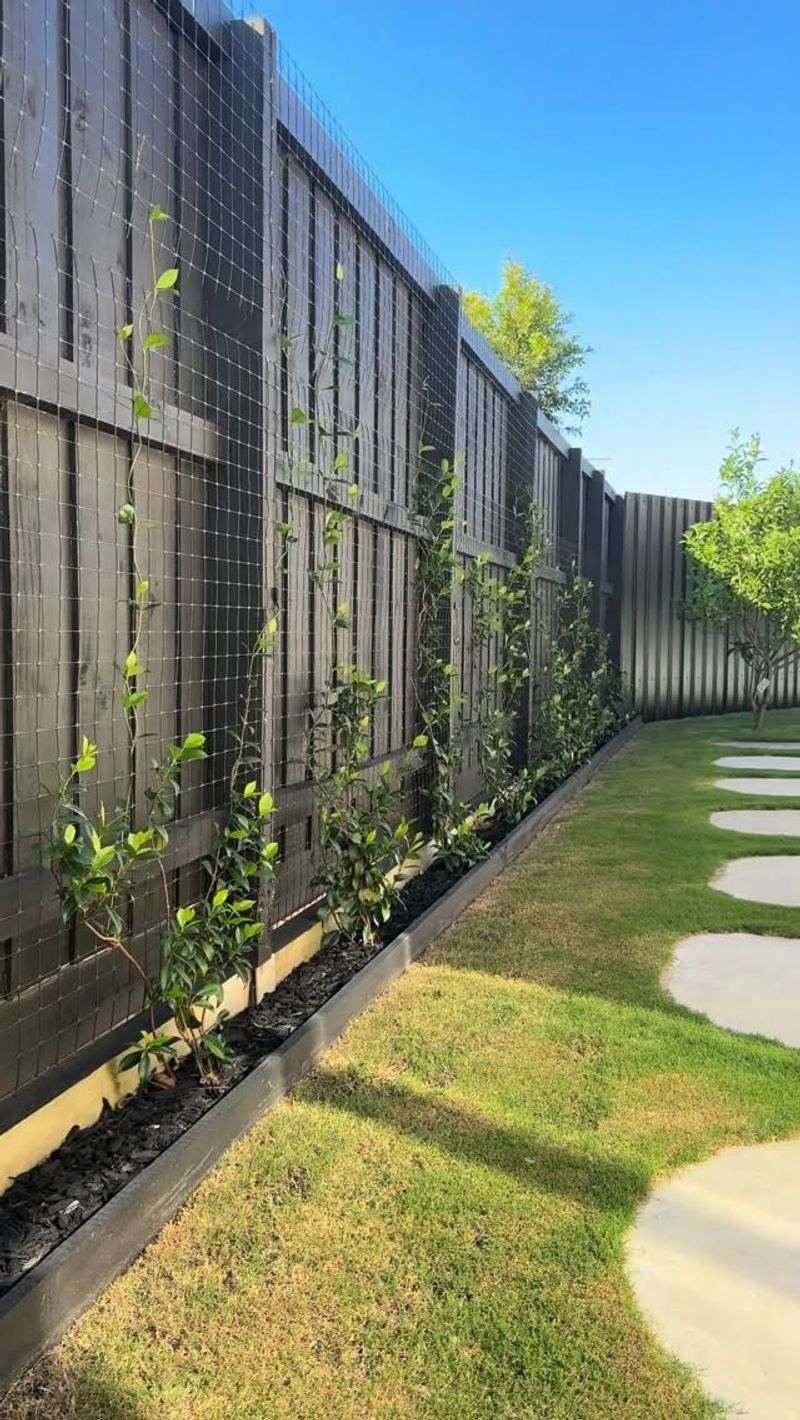 Use a practical decision rule before planting