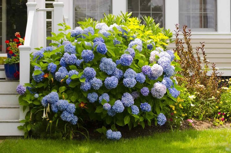 Use a simple seasonal plan to protect next year’s flowers