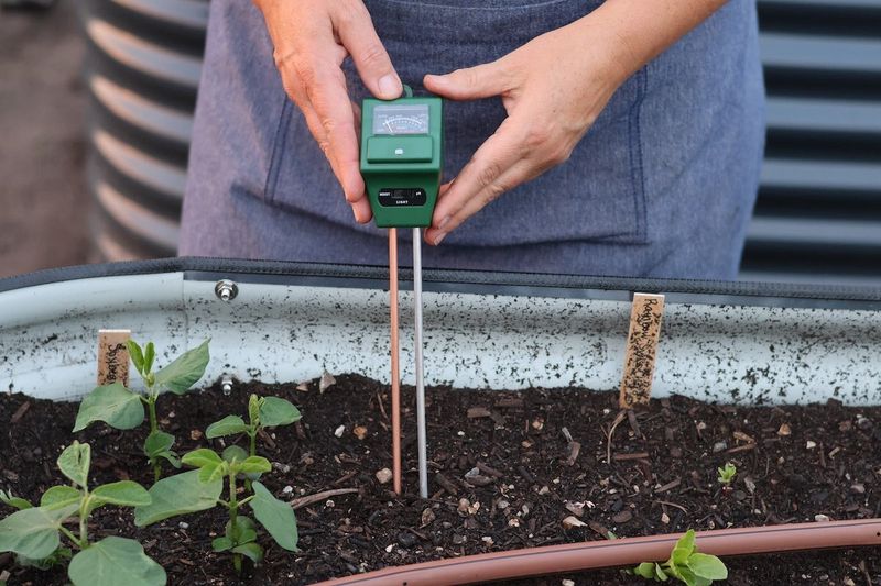 Use a soil test before changing the bed Use a soil test before changing the bed