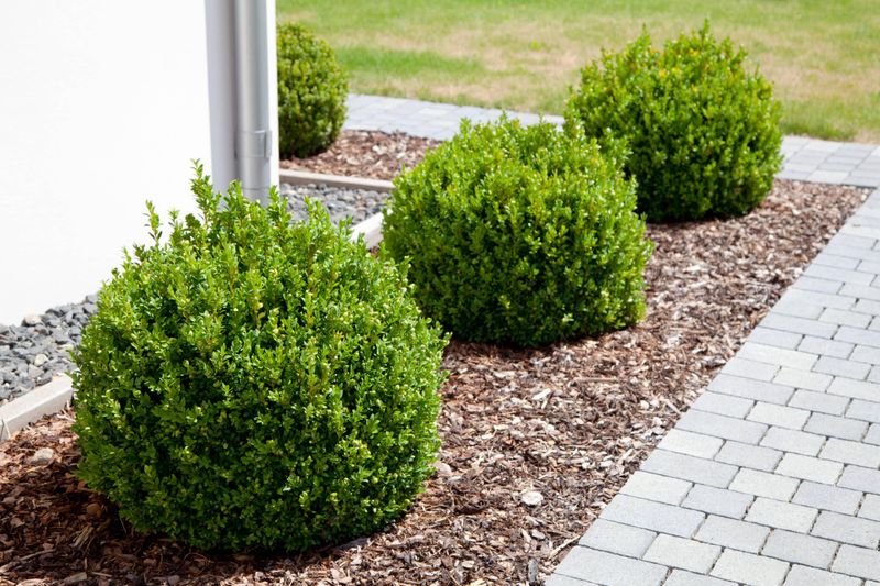 Use a three-foot transition strip only as a possible aid