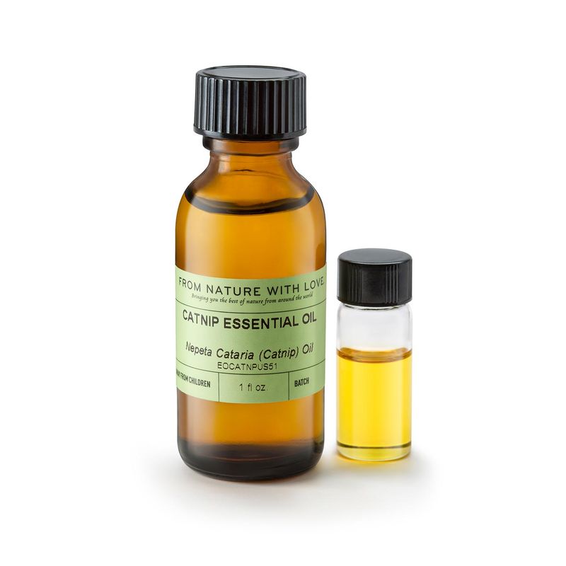 Use catnip as a garden addition, not a homemade skin repellent