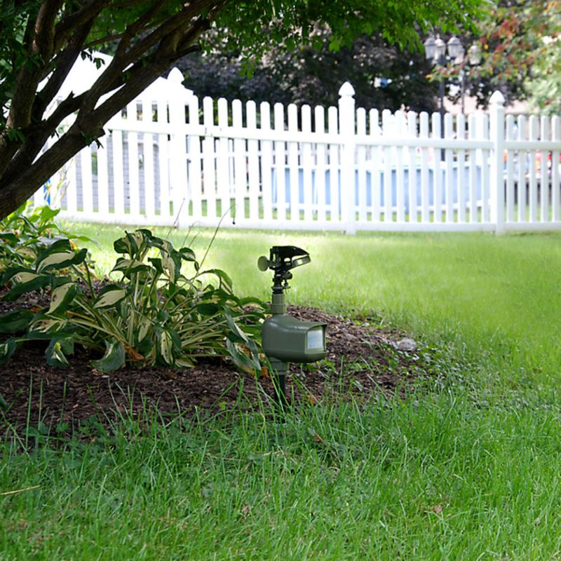 Use deterrents for temporary help and barriers for defined areas