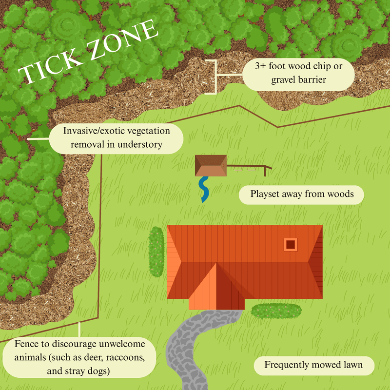 Use habitat management to reduce tick encounters