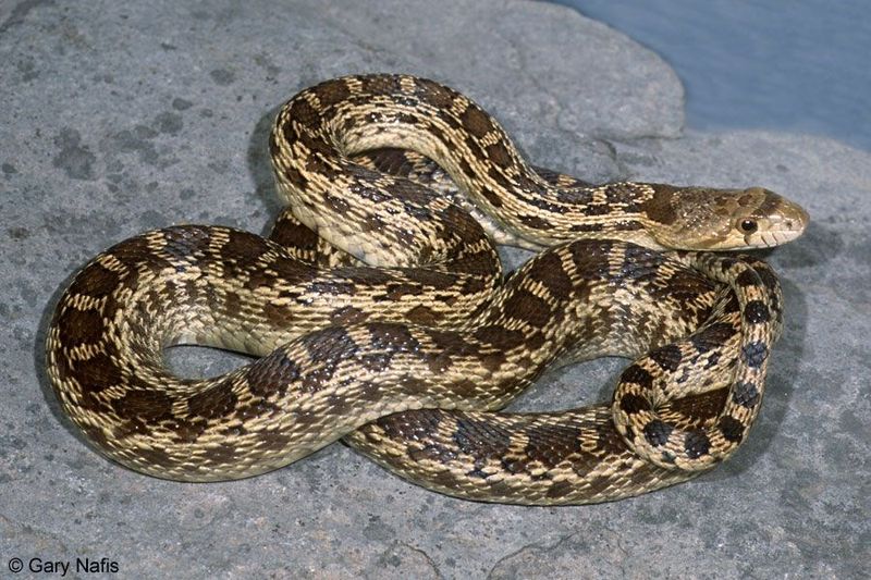 Use identification clues without moving closer Use identification clues without moving closer