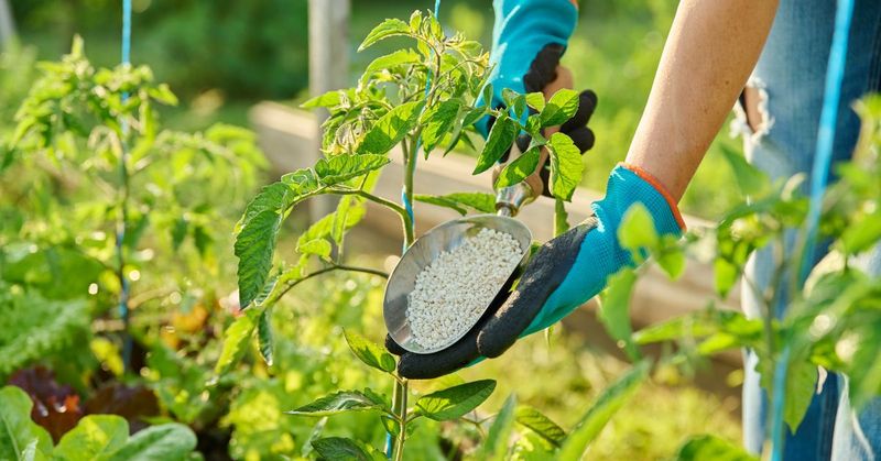 Use labeled fertilizer when the soil and plants need it