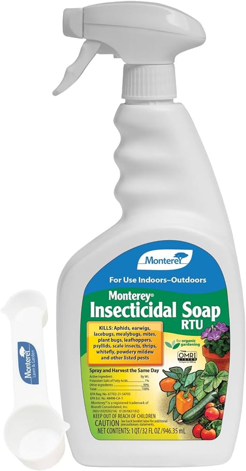 Use labeled soap or oil carefully if mites persist